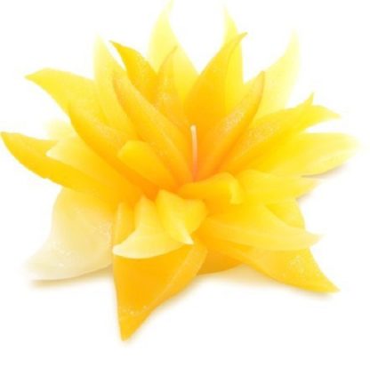 Bougie de Fleur au Parfum Naturelle – Senteur Citron Nouveautés