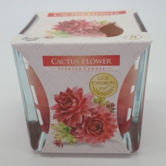 Bougies Parfumées Senteur Fleur de Cactus ( Lot de 2 ) Bonnes Affaires!